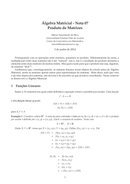 &acute;Algebra Matricial - Nota 07 Produto de Matrizes