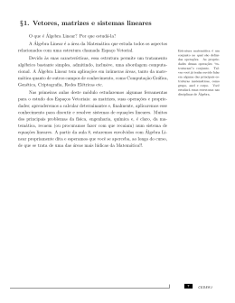 Álgebra Linear Vetores Matrizes e Sistemas Lineares 75 páginas