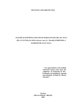 FRANCISCA ZENAIDE DE LIMA AN&Aacute;LISE DA EFICI&Ecirc;NCIA