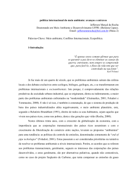 pol&iacute;tica internacional do meio ambiente