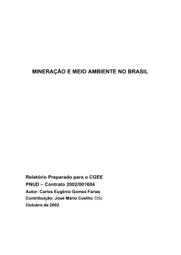 Minera&ccedil;&atilde;o e Meio Ambiente no Brasil