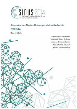 Programa das Na&ccedil;&otilde;es Unidas para Meio Ambiente (PNUMA)