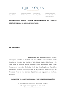 excelent&iacute;ssimo senhor doutor desembargador do plant&atilde;o egr&eacute;gio