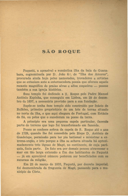 S&atilde;o Roque, por Augusto Maur&iacute;cio