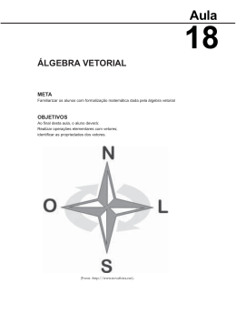 &aacute;lgebra vetorial