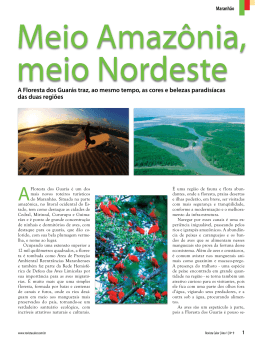 A Floresta dos Guar&aacute;s traz, ao mesmo tempo, as cores e