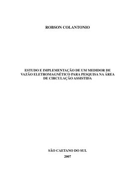 Estudo e Implementa&ccedil;&atilde;o de um Medidor de Vaz&atilde;o Eletromagn&eacute;tico