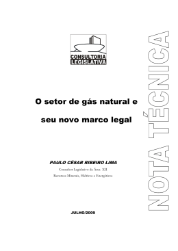 O setor de gás natural e seu novo marco legal
