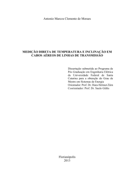 Antonio Marcos Clemente de Moraes MEDI&Ccedil;&Atilde;O DIRETA DE