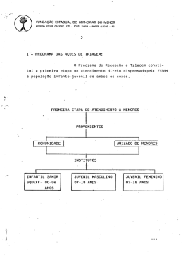 FUNDA&Ccedil;&Atilde;O ESTADUAL DO BEM-ESTAR DO MENOR