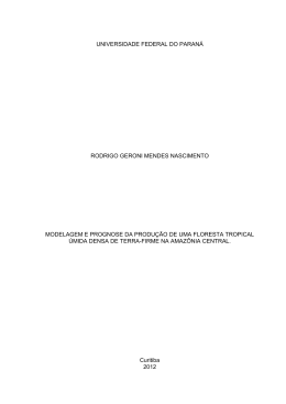 RODRIGO GERONI MENDES NASCIMENTO