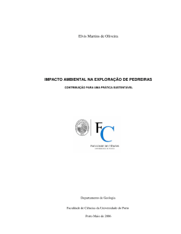 Elvis Martins de Oliveira IMPACTO AMBIENTAL NA