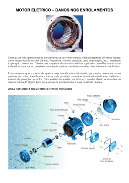 Danos em motor el&eacute;trico