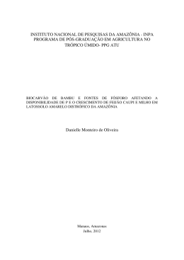 Disserta&ccedil;&atilde;o_Danielle Monteiro de Oliveira - BDTD