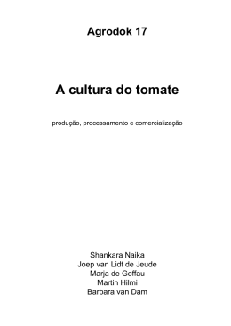 A cultura do tomate
