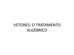 VETORES: O TRATAMENTO ALG&Eacute;BRICO