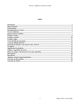 Vetores e álgebra vetorial (revisão) Indice Introdução
