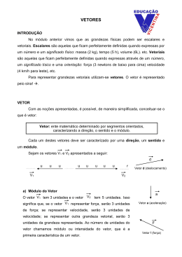 IV - VETORES_ok
