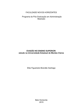 Elbe Figueiredo Brand&atilde;o Santiago