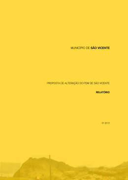 Relat&oacute;rio - Munic&iacute;pio de S&atilde;o Vicente