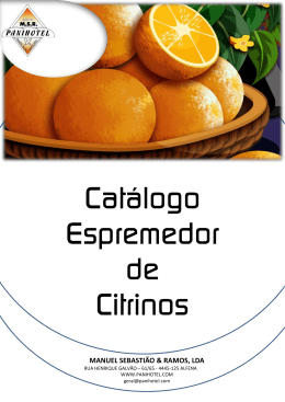 Diapositivo 1 - manuel sebasti&atilde;o & ramos lda