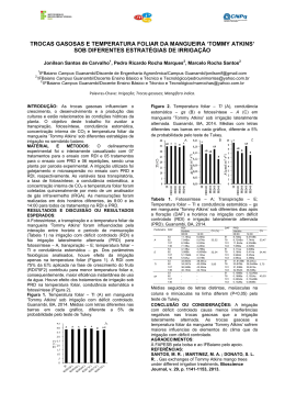attach_file Clique aqui para visualizar
