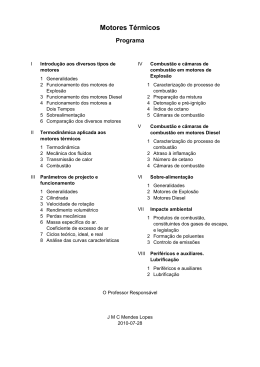 Programa detalhado