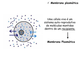 Membrana plasmática Uma célula viva é um sistema auto