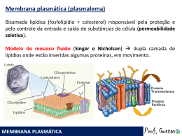 Membrana plasmática (plasmalema)