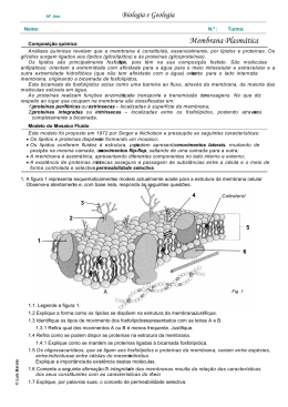modelo do mosaico fluido (PDF