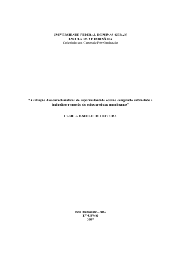 reviso de literatura - Biblioteca Digital de Teses e Disserta&ccedil;&otilde;es da