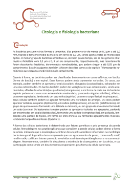 Citologia e fisiologia bacteriana - Universidade Federal de Minas