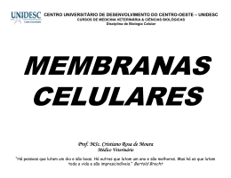 Prof MSc Cristiano Rosa de Moura Prof. MSc. Cristiano Rosa de