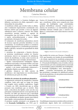 artigo completo em PDF - Revista de Ciência Elementar