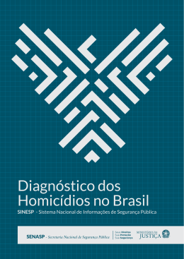 Diagnóstico dos homicídios no Brasil : subsídios para o Pacto