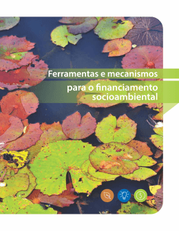 Ferramentas e mecanismos para o financiamento