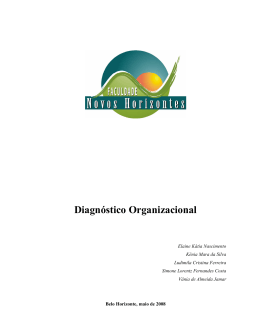 Diagnóstico Organizacional - Faculdade Novos Horizontes