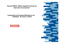 Ensaios em Couro e Afins