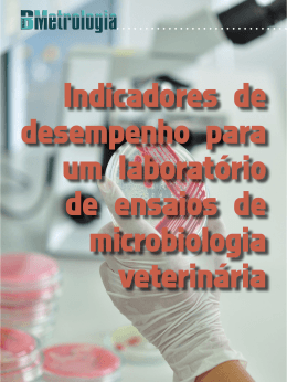 Indicadores de desempenho para um laborat&oacute;rio de ensaios de