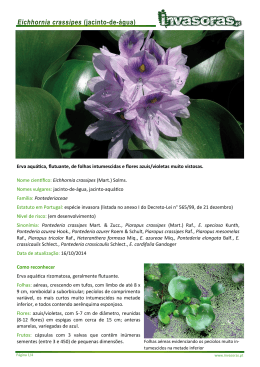 Eichhornia crassipes - Plantas Invasoras em Portugal