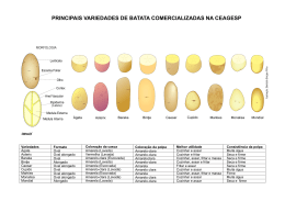 principais variedades de batata comercializadas na