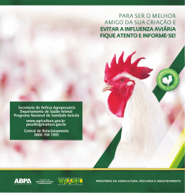 Informação básica sobre influenza aviária para produtores