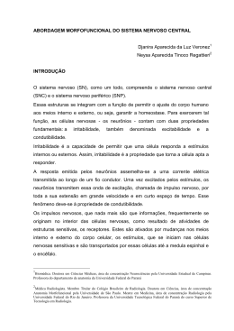 Abordagem Morfofuncional do Sistema Nervoso
