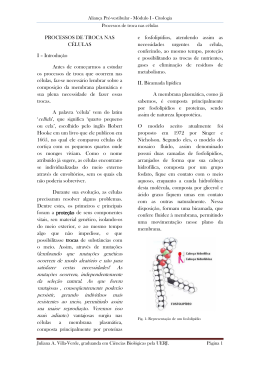 1 - Alian&ccedil;a Pr&eacute;