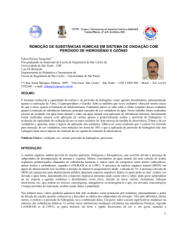 1 REMO&Ccedil;&Atilde;O DE SUBST&Acirc;NCIAS H&Uacute;MICAS EM SISTEMA