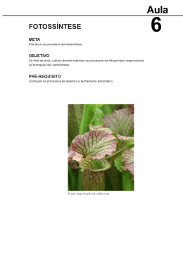 Fisiologia Vegetal.indb