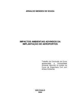 impactos ambientais advindos da implanta&ccedil;&atilde;o de aeroportos