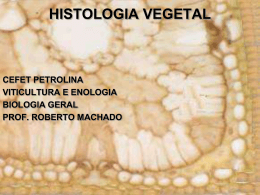 HISTOLOGIA VEGETAL - Col&eacute;gio Dom Bosco