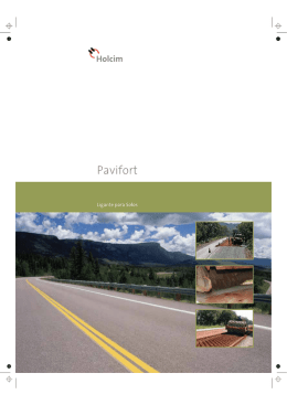 L&acirc;mina T&eacute;cnica Pavifort