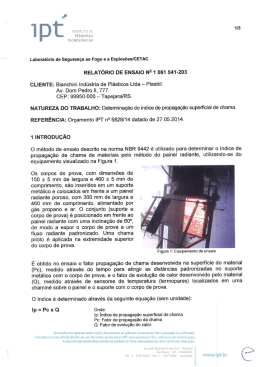 RELATÓRIO DE ENSAIO NQ 1 061 541 -203